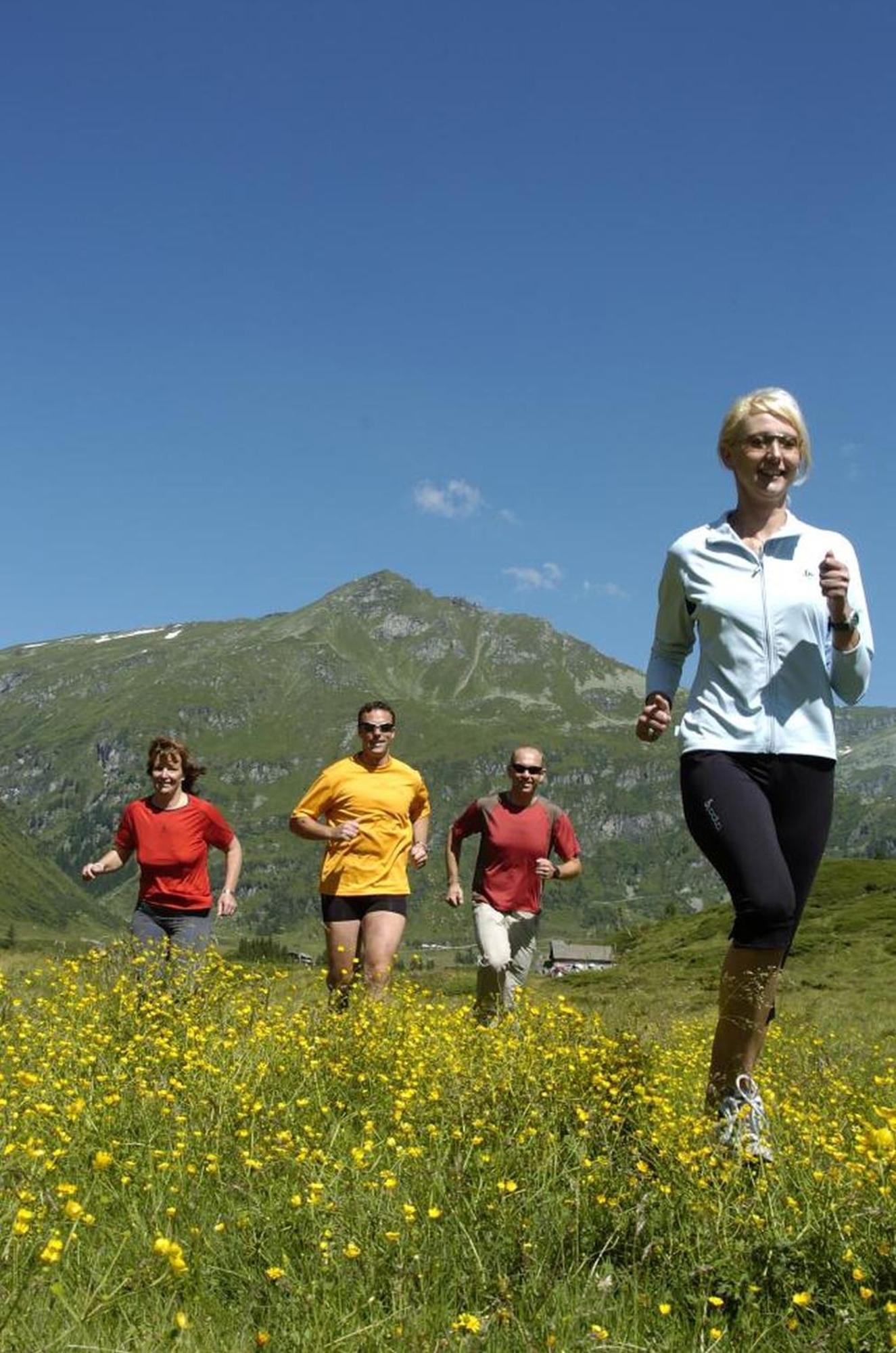 Ferienhaus Schiwiese Mit Freiem Eintritt In Die Alpentherme & Freie Nutzung Der Gasteiner Bergbahnen Im Sommer 2025 Bad Hofgastein Dış mekan fotoğraf
